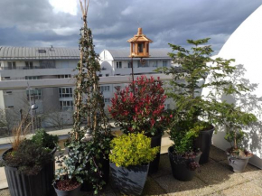 Sur les toits d'Orléans